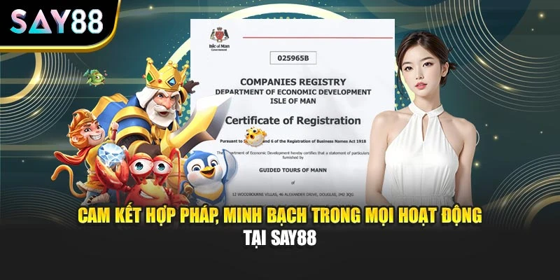 Cam kết hợp pháp, minh bạch trong mọi hoạt động tại Say88