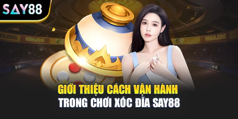 Giới thiệu cách vận hành trong chơi Xóc Đĩa Say88