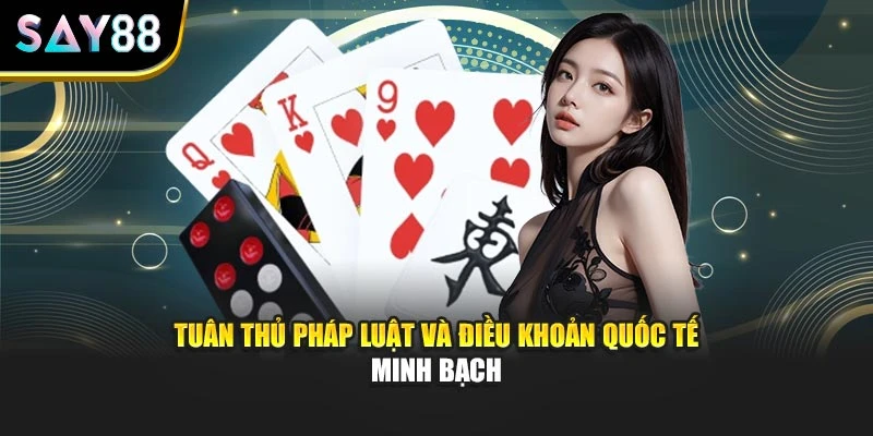 Tuân thủ pháp luật, điều khoản quốc tế minh bạch